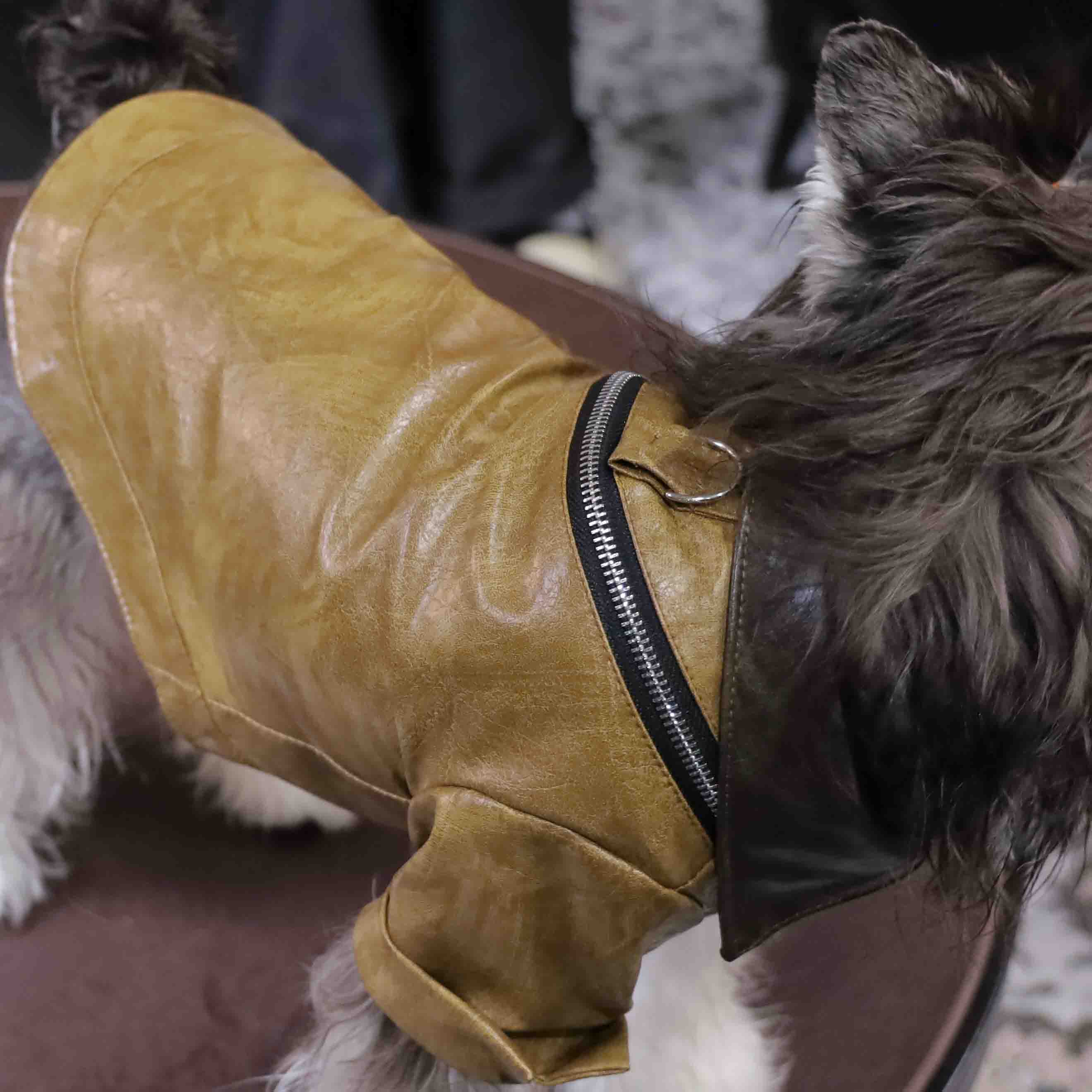 PawsCube - ๐พ Luxury Custom Leather Jackets for Dogs and Cats | Waterproof Pet Fashion Clothing